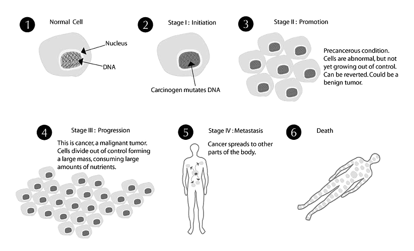about-cancer illustration